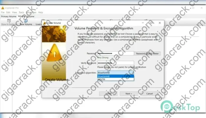 Cypherix Cryptainer Pro Activation key